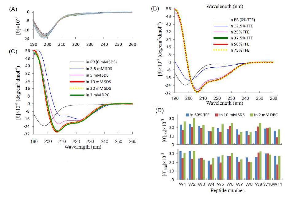 (A) L5K5W 펩타이드들의 수용액에서CD 스펙트럼 (11개 스펙트럼 겹침). (B와 C) W10 펩타이드의 서로 다른 용매 조건에서의 CD 스펙트럼 변화. (D) 11개 펩타이드의 208 및 222 nm에서의 CD 신호 강도.