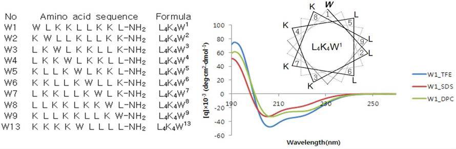 De novo 설계된 10종 펩타이드의 아미노산 서열(왼쪽) 및 WaLK9.1 펩타이드의 helical wheel 도식과 CD 스펙트럼(오른쪽).