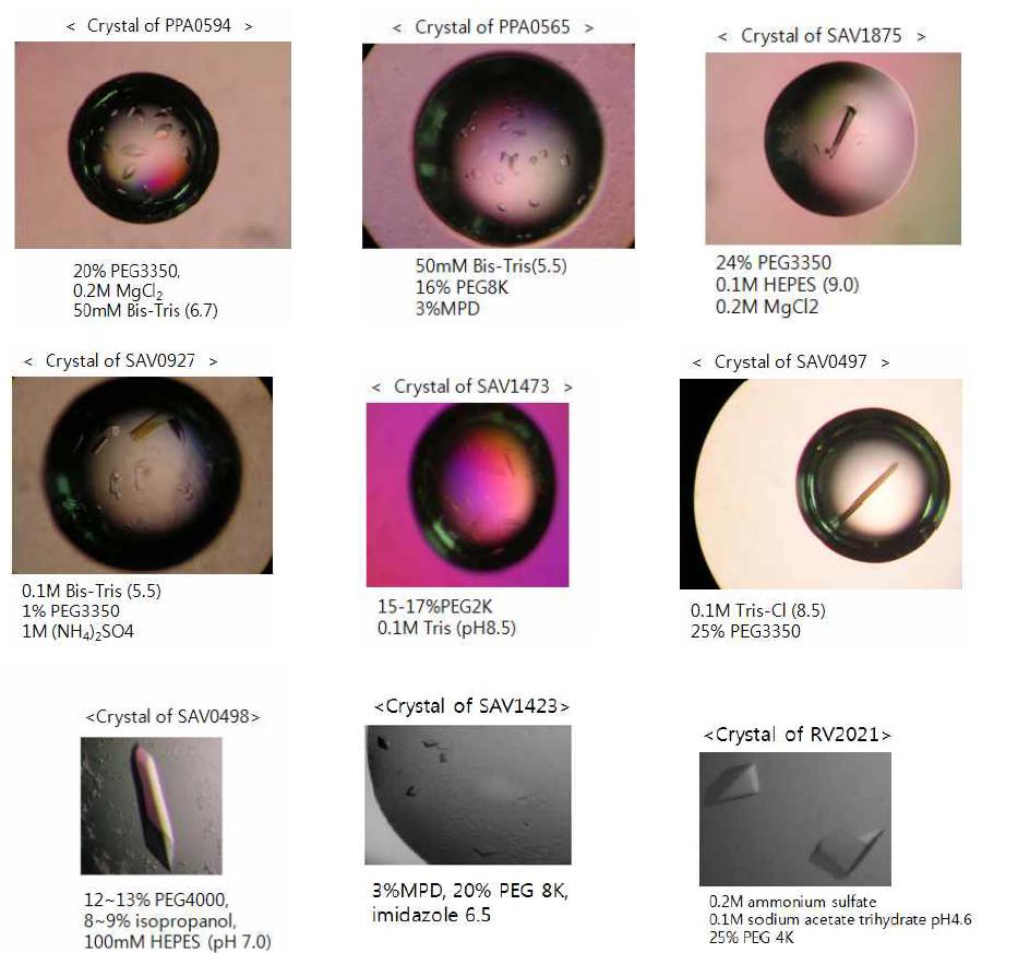 Crystals of target proteins and crystallization condition