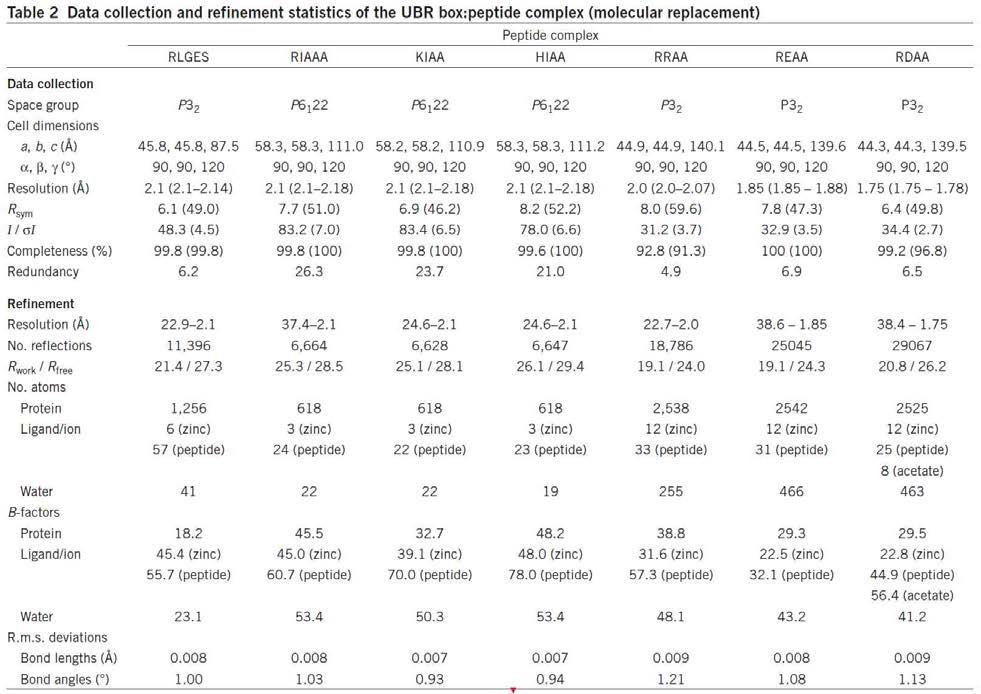 Data collection and refinement statistics of the UBR box:peptide complex.