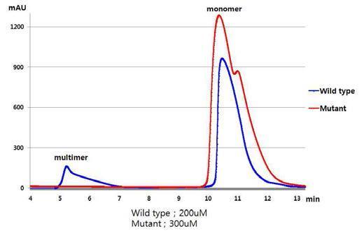 Wild-type WW23와 mutant WW23의 중합체 형성 비교