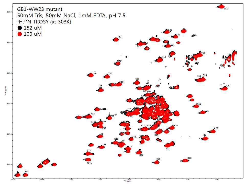 농도 비의존적인 mutant WW23 Trosy spectrum의 변화 비교