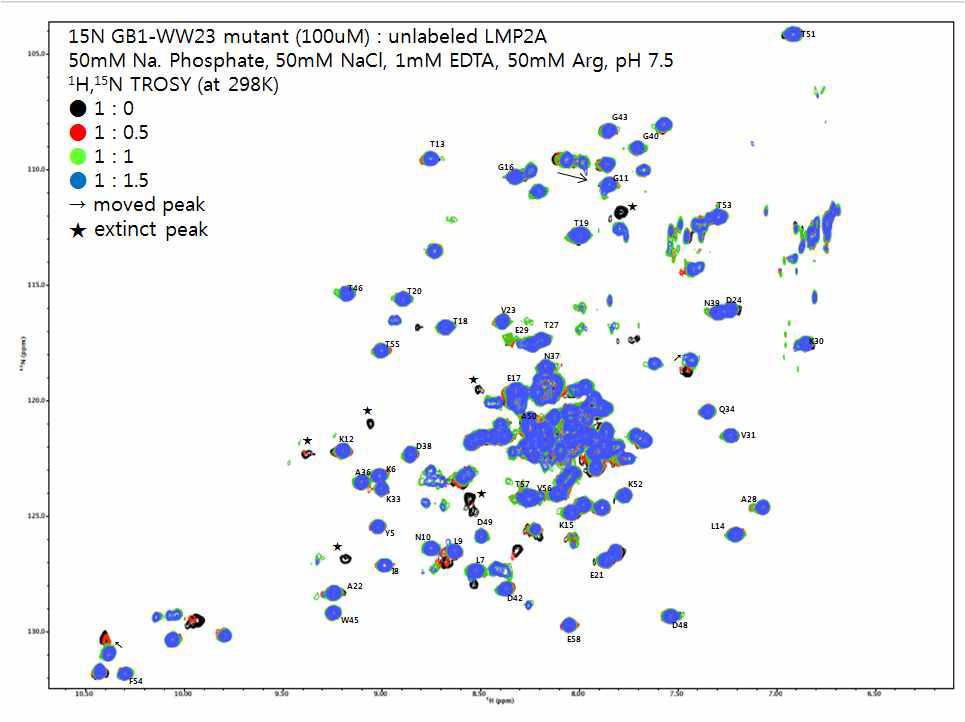 Trosy spectrum of mutant WW23. unlabeled LMP2a로 titration 했을 때 peak의 변화 양상