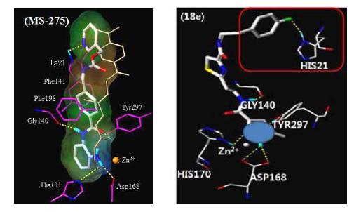 Surflex-DOCK을 이용한 MS-275와 18e를 HDLP의 active site에 도킹시킨 모델