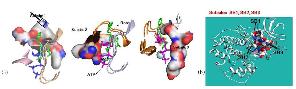 (a)Subsites mapped with hydrphobic and electrostaic potential (b)Human Kinase representative Active site pocket showing Subsites SB1, SB2 and SB3 mapped in hydrophobic and electrostatic potential