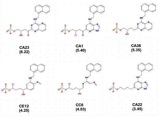 Compounds showing best broad-spectrum score