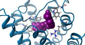 A candidate compound discovered by de novo method is shown as purple space fill