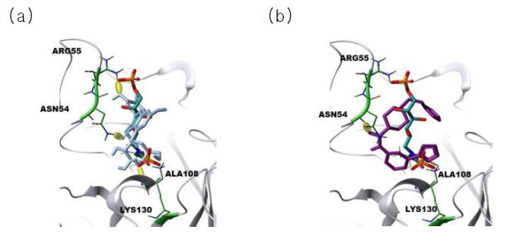 Docking poses of hit compounds in comparison with API (carbon in dark green), (a) hit compound A (carbon in light blue), (b) hit compound B (arbon in violet) in the active site of H.pylori KDO8PS