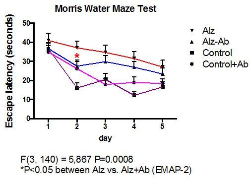 EMAP-2 중화 항체의 투여가 3X-Tg AD mice의 memory retention 미치는 영향