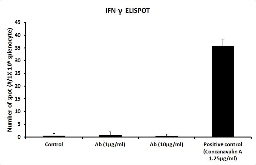 EMAP-2 항체에 의한 interferon-gamma 반응을 ELISPOT 실험을 통해 조사.