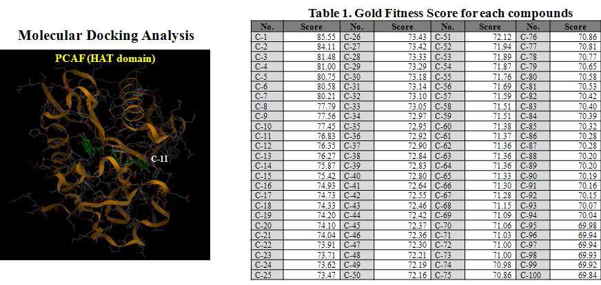 Molecular Docking Analysis를 통한 Gold Fitness Score 분석결과 및 후보화합물들