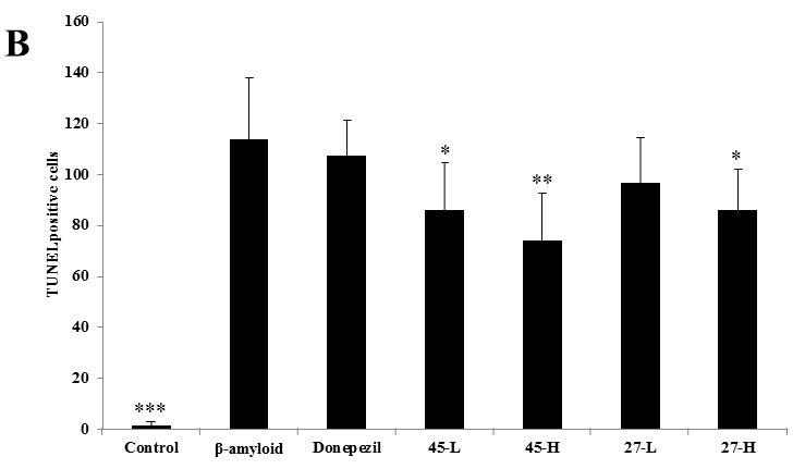 Effects of C-11-45 and C-11-27 on Aβ1-42-induced neuronal apoptosis assessed by TUNEL assay.Representative quantification of the number of TUNEL-positive cells.