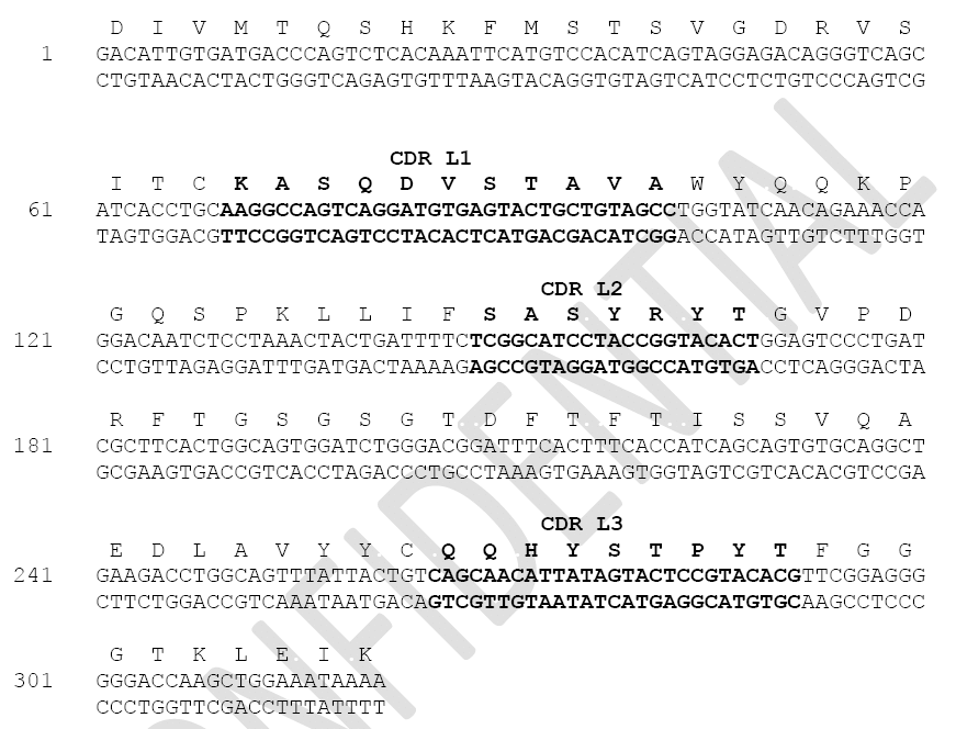 mouse IgG의 light chain의 variable domain의 sequencing 및 deduced amino acid.