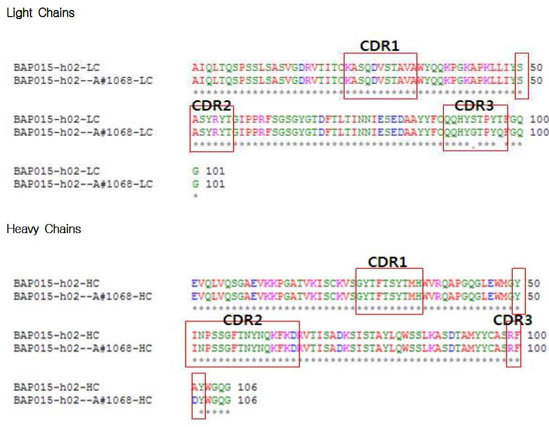 Protein Sequence alignment of affinity-matured humanized clones.BAP015-h02: human parental clone. light chain CDR과 heavy chain CDR은 box로 표시.