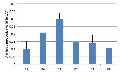 CHO stable cell line으로부터 항체 생산량 비교