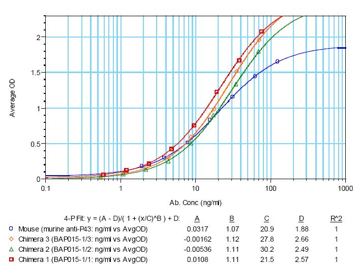 mouse monoclonal antibody와 chimeric antibody의 affinity 비교