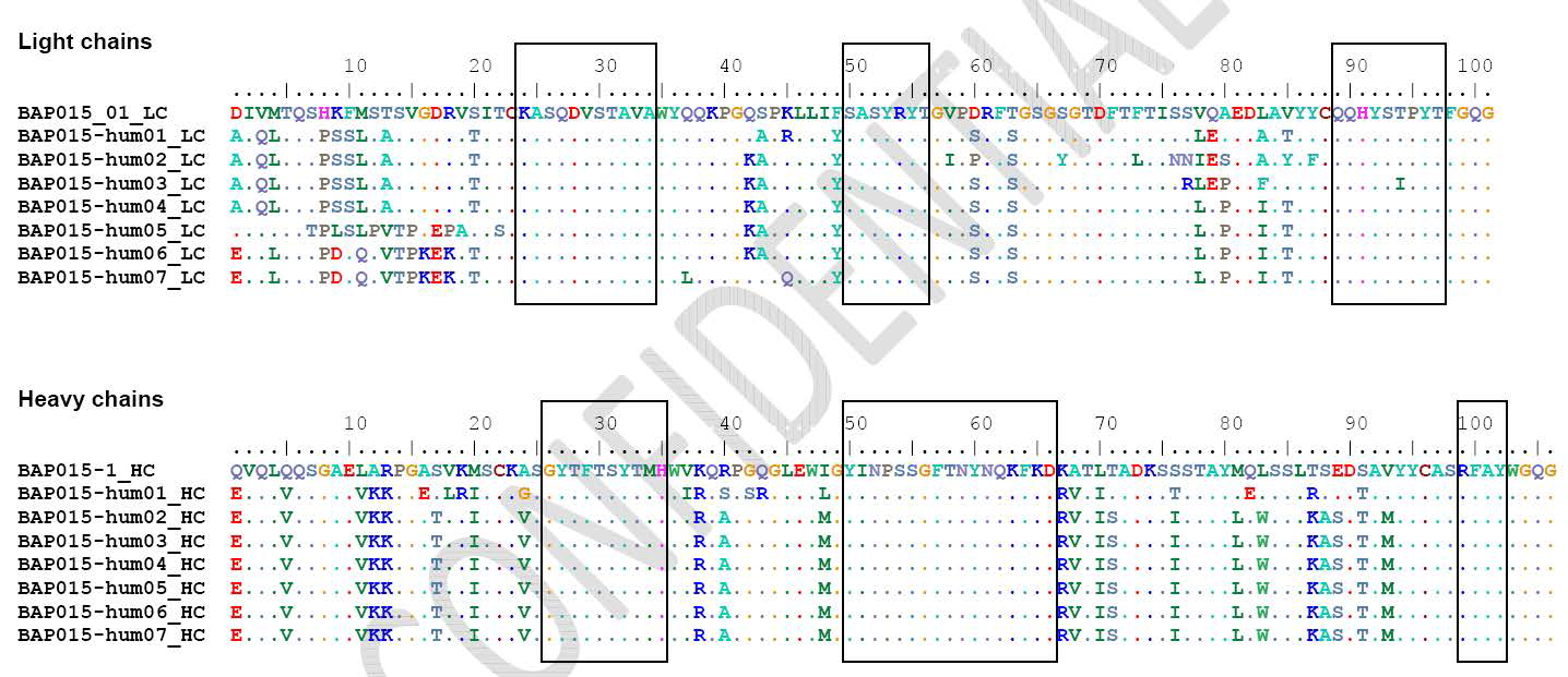 Protein sequence alignment of humanized clones