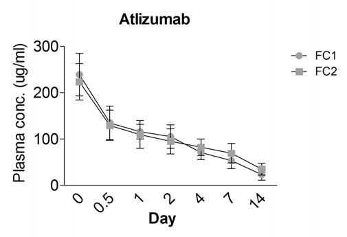 atlizumab의 반감기 측정