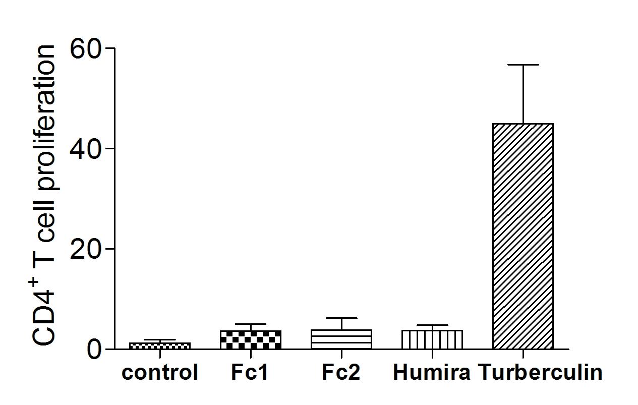 DC-T cell assays