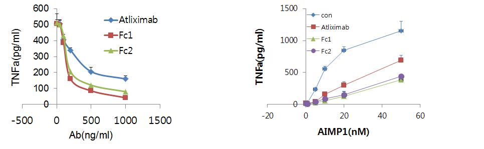 In vitro efficacy 평가