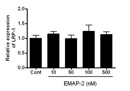 EMAP-2가 HBMEC의 LRP1 발현에 미치는 영향