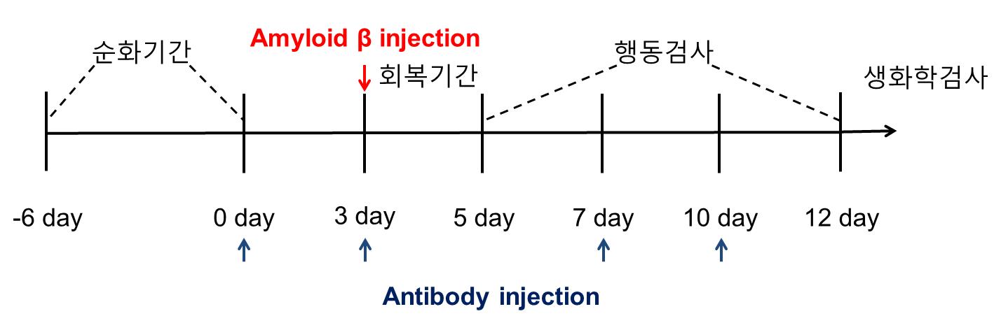 실험의 일정을 나타낸 그림임