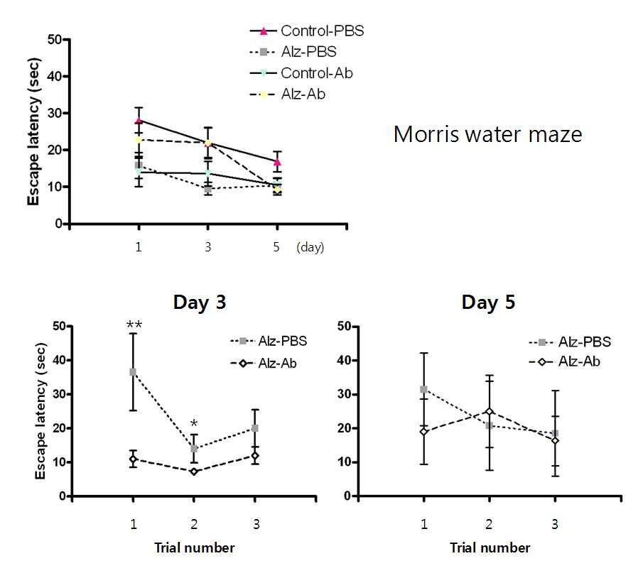 EMAP-2 중화 항체의 투여가 3X-Tg AD mice의 memory retention 미치는 영향 (Morris water maze test)