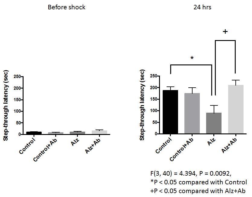 EMAP-2 중화 항체의 투여가 3X-Tg AD mice의 기억능에 미치는 영향