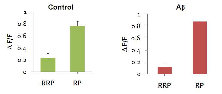 Aβ oligomers를 treat 시, RRP size가 줄어들고, RP size가 증가한 것을 관찰함.