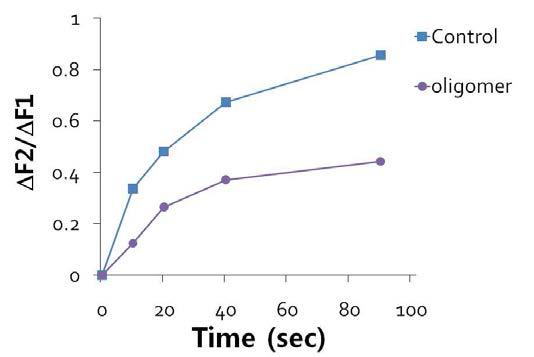 Aβ oligomers를 treat시, repriming속도가 느려짐.