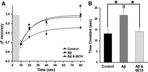 Aβ oligomer에 의한 depleted RRP 회복속도 비교