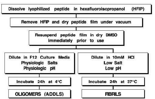 Aβ oligomer (ADDL) 만드는 방법