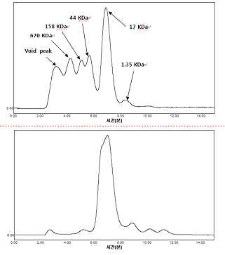 Size Exclusion Chromatography를 통한 대조군 단백질들의 사이즈 및 elution time 확인 (상), Aβ oligomer의 elution time 확인 (하)