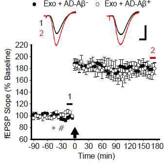 Exosome (*)과 AD-Aβ- (n = 5) or AD-Aβ+ (n = 7) 샘플 (#)을 15분의 시간 간격으로 각각 주입, 30분의 baseline을 측정 후 LTP를 유도 (화살표)함