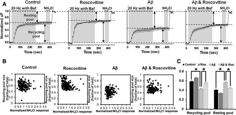 Cdk5 inhibitor에 의한 시냅스낭 ratio 조절 변화