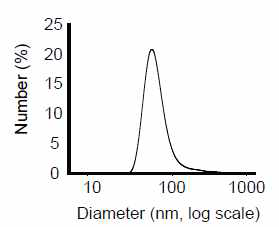 Dynamic Light Scattering을 통한 exosome 크기 분포 확인