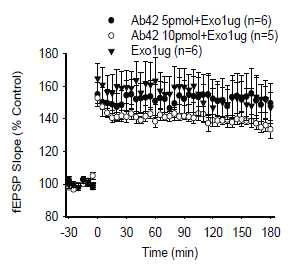 Aβ oligomer 5 or 10 pmol과 exosome 1 μg pre-incubation 후 뇌강 주입시, LTP에 미치는 효과