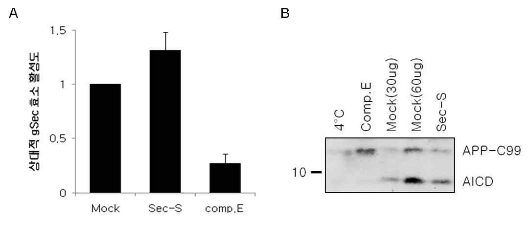 Sec-S 과발현에 의한 gSecretase 효소 활성증가