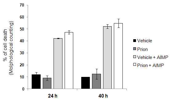 Prion protein의 과발현이 AIMP에 의한 세포사멸에 미치는 영향