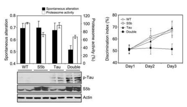 PSMD5/ΔTau double transgenic mouse에서 기억력 감퇴와 Tau 인산화 측정