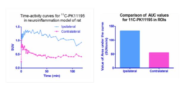 [11C]PK1119의 뇌 결합 그래프