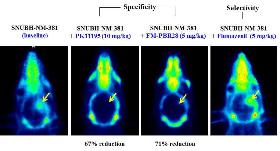 SNUBH-NM-381의 선택성 및 특이성 실험 영상