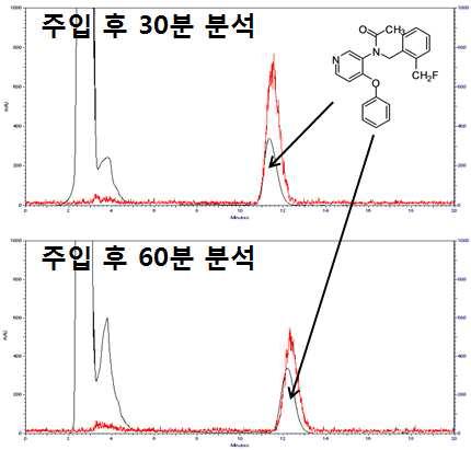 SNUBH-NM-381의 brain metabolite 분석 실험