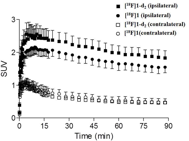 Time-activity curve 분석결과