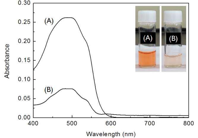 약물 담지 전후의 UV-vis 분광 스펙트럼