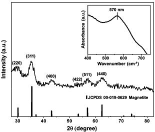합성된 산화철 나노입자의 XRD 패턴 및 FT-IR spectra
