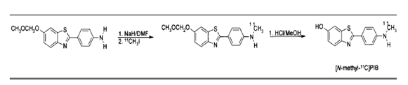 Reaction scheme for the radiochemical synthesis of PIB