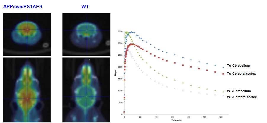 알츠하이머병 모델 형질전환 마우스(APPswe//PS1△E9)와 wild type 마우스에서 SNUBH-NM-333(18F) 뇌 PET 영상 및 대뇌 및 소뇌 시간-방사능곡선