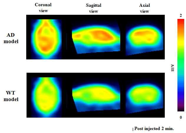 [18F]SNUBH-NM-350의 전임상 뇌 PET 영상실험