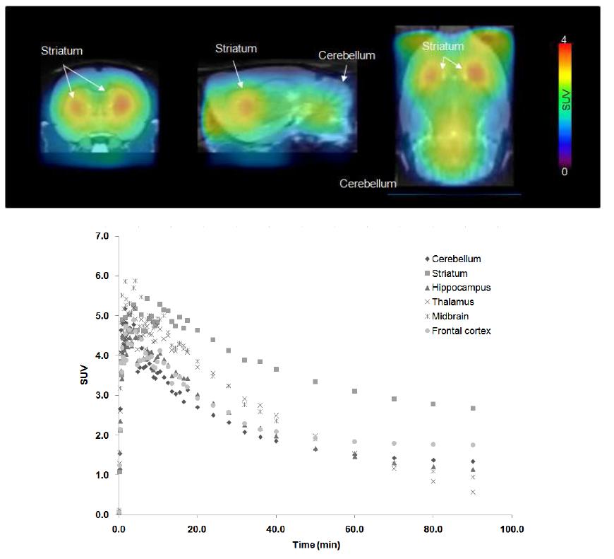 meta-[18F]F-CP118,954 (SNUBH-NM-393, 1.5 mCi)의 microPET 영상 및 시간에 따른 뇌 영역별 time-activity curves